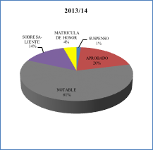 Calificaciones del grupo presencial en el curso 2013/14
