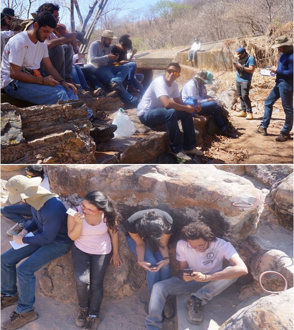 Uso do aplicativo móvel pelos alunos durante a aula de campo