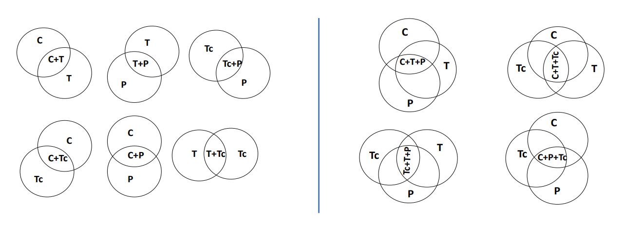 Intersecciones entre los cuatro saberes